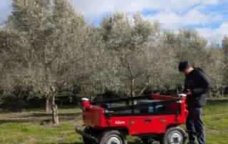 PXL 20260204 140924871 1 768x1024 1